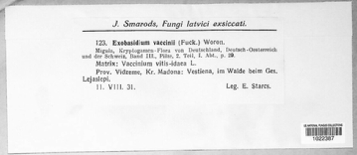 Exobasidium image